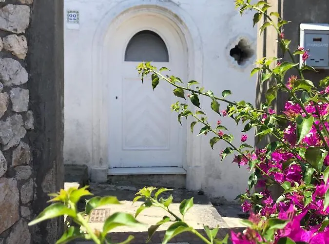 Casa Maddy 4* كابري